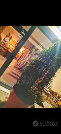 Locale ad uso Ristorante o Pizzeria