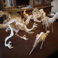 SCHELETRI DINOSAURI IN LEGNO
