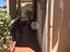 Immagine 8