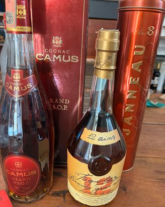 Cognac-brandy-armagnac