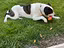Immagine 1