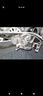 proiettori-dx-e-sx-ford-focus-2010-lenticolari