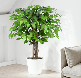 Keeplush Ficus Artificiale Pianta 90cm alta