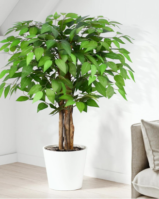 Keeplush Ficus Artificiale Pianta 90cm alta