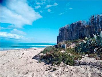 Tocca il mare con un dito Vicini San Vito lo Capo