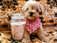 Immagine 14