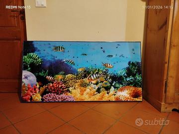 Quadro Barriera Corallina 