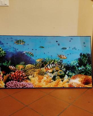 Quadro Barriera Corallina 