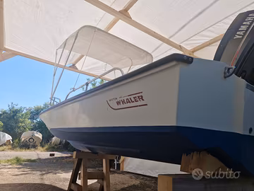 BOSTON whaler 15