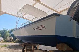 BOSTON whaler 15