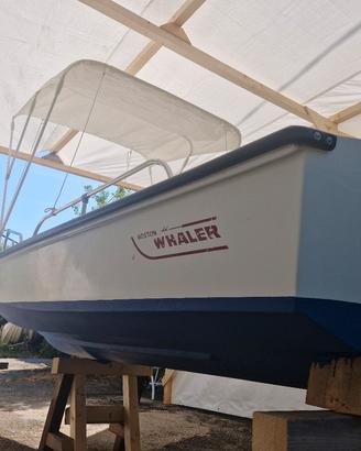 BOSTON whaler 15