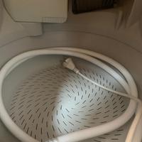 lettiera autopulente CAT GENIE