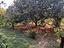 Immagine 21
