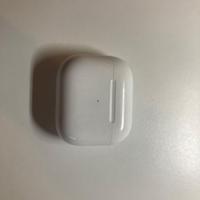 Porta auricolari Apple