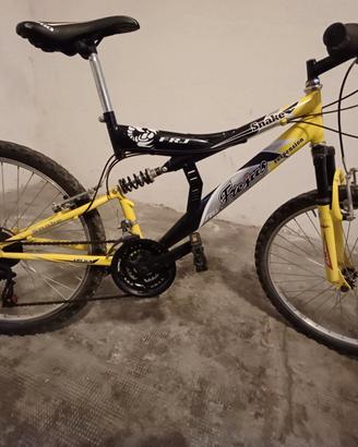 mountain bike