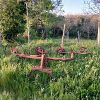 Ranghinatore per fieno