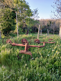 Ranghinatore per fieno