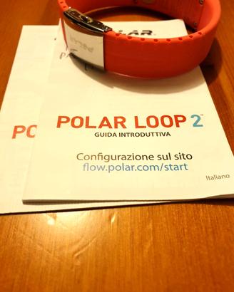 Contapassi polar