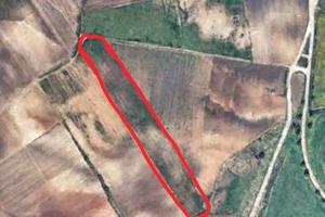 Un ettaro terreno con catastino a Mazara del Vallo