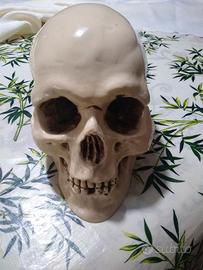 Teschio ceramica