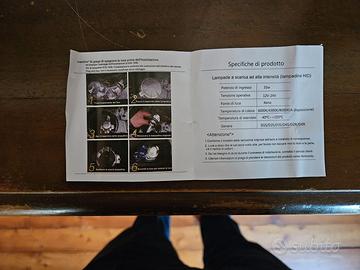 Lampadina Xenon HID D1S 6000K — XELORD