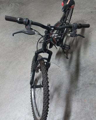 Bicicletta 