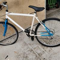 Mountain bike anni 90/2000 (leggere)