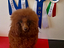 Immagine 4
