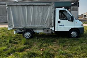 Fiat Ducato 2.8 jtd con centina