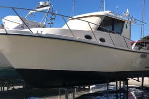 Omnia Nautica Omnia 314 Op Cabin (2001)