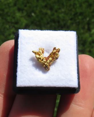 Pepita d’Oro Naturale Cristallizzata – Mt. Magnet