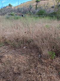 Villetta e terrebo 1000m²