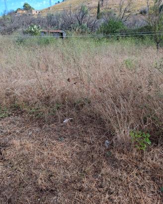 Villetta e terrebo 1000m²
