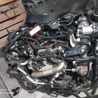 Ford c-max 2018 - xxdc
