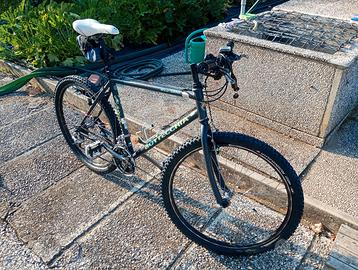 Mountain bike