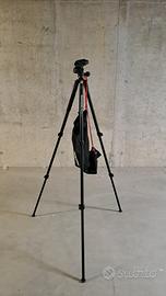 Treppiedi Manfrotto con testa 3 vie.
