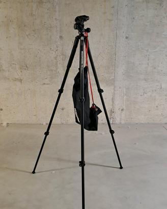 Treppiedi Manfrotto con testa 3 vie.