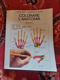 libro anatomia