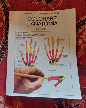 libro anatomia
