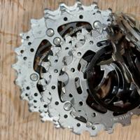 Pacco pignoni campagnolo chorus 11 velocità 12-25