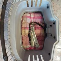 Trasportino per biciclette per cani-Ferplast