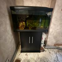 Acquario Ferplast CAYMAN 80