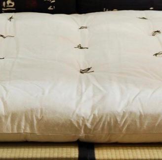 Futon