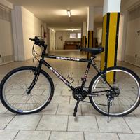 Bicicletta Mountain Bike anni 90