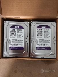 Hard disk purple 