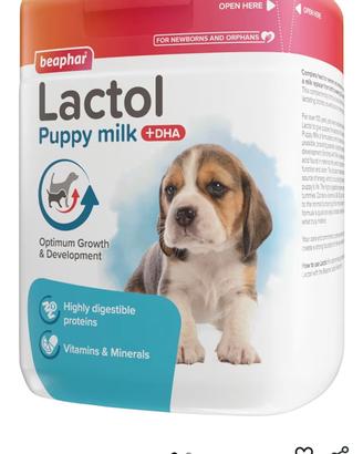 latte cucciolo 