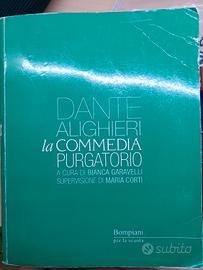 Purgatorio, Divina Commedia 