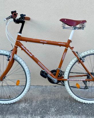 Bicicletta Classic Vintage Uomo 