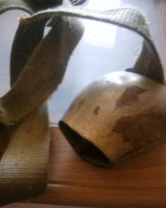 Campanaccio ottone per mucca campana tirolese