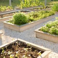 Cippato di rami e foglie